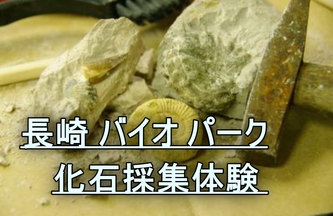 長崎 バイオ パーク夏休みイベント 化石採集体験
